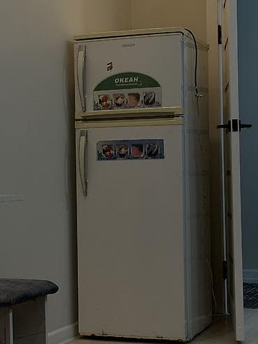 холодильный шкаф: Холодильник «Океан» двухкамерный - Тип: классический холодильник с — 1