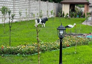 коттедж иссык куль каприз: Коттедж, 90 м², 3 комнаты, Собственник, Дизайнерский ремонт — 4