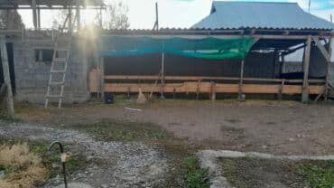 ак босого дом продаю: Дом, 75 м², 4 комнаты, Собственник — 7