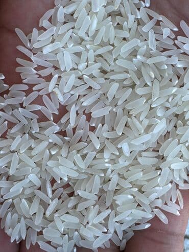 чемодан с инструментами купить: Рис Ташкентский LAZER, Шардара — длиннозерный шлифованный рис в мешке — 2