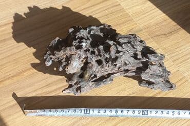 аквариумные растения бишкек: В аквариум коряга очень интересной формы и фактуры — "драконовый — 2