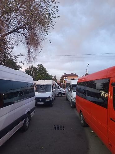 19 5 гигант: Пункт назначения: Все направления, Количество мест: Другое количество — 1