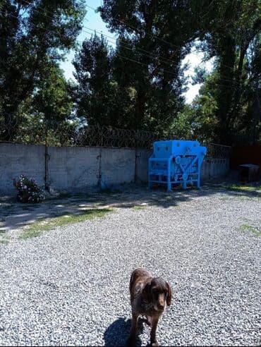 дом рабочый городок: Продается живой бизнес — 19