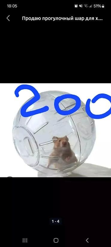 мал сатам: Клетки для хомячков от 400 до 1700 сом. хомячки по 200 — 10