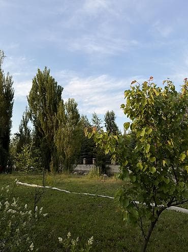 п образный диван: Выездные банкеты | Повара | Аренда столов, Аренда стульев, Аренда посуды — 8