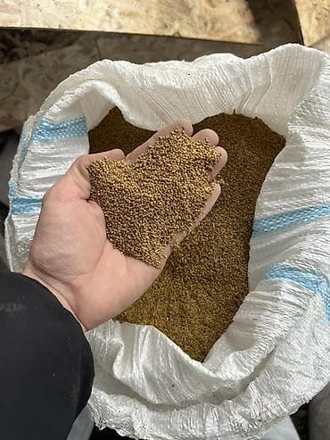 голова корова: Продаю люцерну — 2