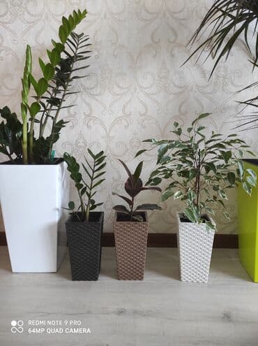 цветочница: Цветочные горшки
Россия, Турция, Польские
От 100с — 19