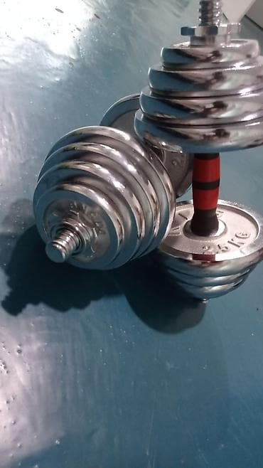 Электр транспорту: Разборные хромированные гантели (пара) - Материал: стальные блины с — 1