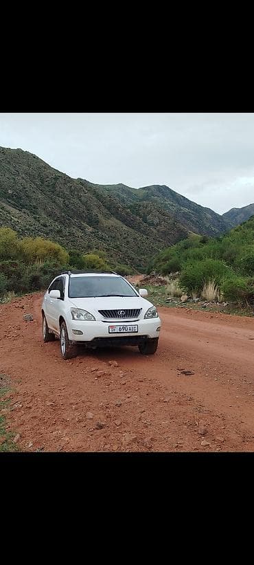 bmv e38: Lexus RX: 2004 г., 3.3 л, Автомат, Газ, Кроссовер — 2