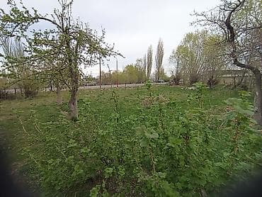 село саз: 8 соток Для бизнеса — 3