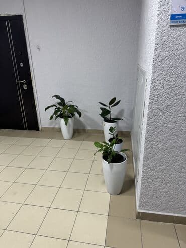 сдаю квартиру без посредника: 1 комната, 30 м², Элитка, 7 этаж, Евроремонт — 16