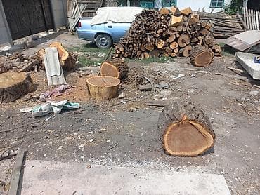 Дрова продаются .Цена договорная