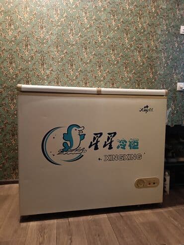 оборудование мороженое: Морозильный ларь XINGXING - Тип: горизонтальный морозильный ларь с — 1