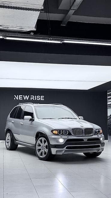 лампочки на машину: BMW X5: 2004 г., 4.8 л, Автомат, Бензин, Кроссовер — 2
