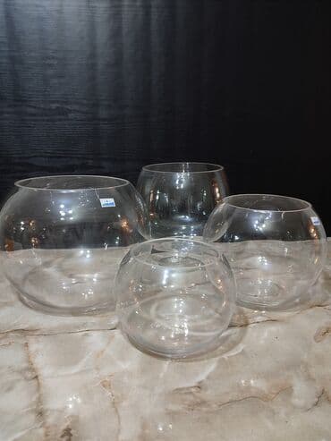 аквариумная рыбка: Прямоугольные — 14