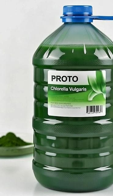 agro: 🌱 Хлорелла вульгарис — природный стимулятор для современного сельского — 1