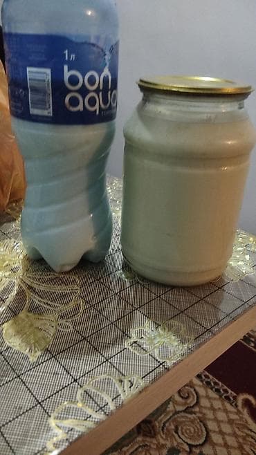 корова дойная: Продаю | Козёл (самец) | Полукровка | Для разведения | Осеменитель — 4