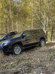 шины на gx: Lexus GX: 2018 г., 4.6 л, Автомат, Бензиновая, Внедорожник — 22