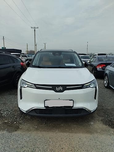 Weltmeister: Weltmeister W6, 2021 г., 75000 км — 4