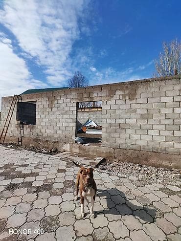 советская медерова: Продаю срочно!!!Дом!!!С участком!!!С — 4