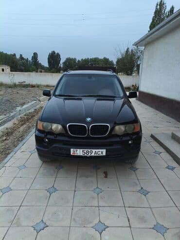 BMW X5: 2003 г., 3 л, Автомат, Бензин, Кроссовер