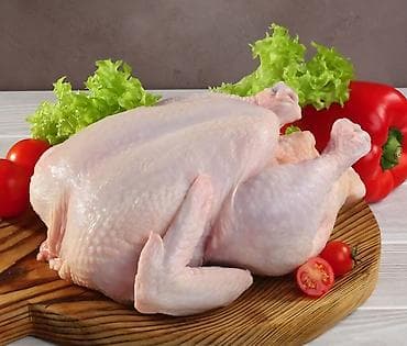 бролер цыпленок сколько стоит бишкек: Адал союлган бройлер тооктор розница кг 350, оптом 280 — 1