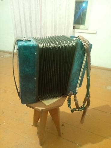 Спорт жана эс алуу: Баян “Барыня” (трёхрядный) - Тип: русский баян, правый мануал – 3 — 1