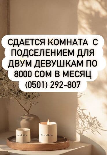 квартира с подселением район политех: 30 м², С мебелью — 1