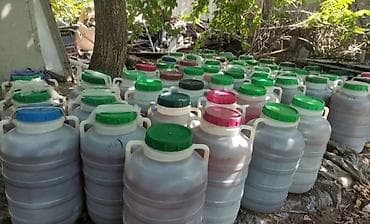 мед цена за 1 литр: Токтогулдун таза балы сатылат
бачогу 24л 33кг чыгат — 2