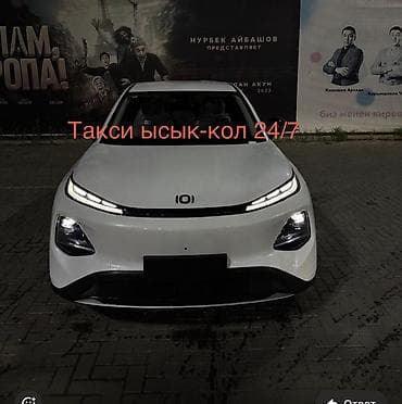 x max: Легковое авто, Пункт назначения: Иссык-Куль, Количество мест: 4, Лицензия №: O-MVD-000-2026-0013862 — 1
