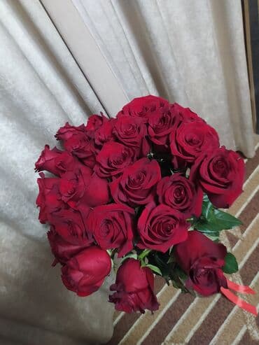 роза штамбовая: Букеты из свежих роз - Классические красные розы с крупным бутоном — — 4