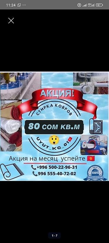 terminator kg: Стирка ковров, | Ковер — 1