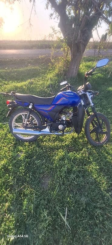 цена муравей мотоцикл: Мопед/легкий мотоцикл CHAMP, дорожный класс, с передним дисковым — 2