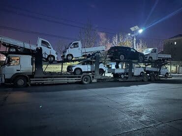 runx alex: Чиркегич — 5