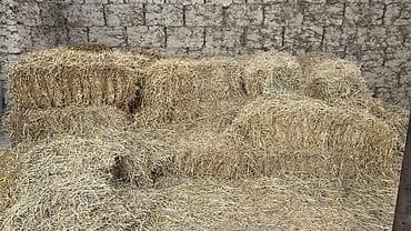 Солома/сено в тюках. - Прессованные тюки прямоугольной и округлой
