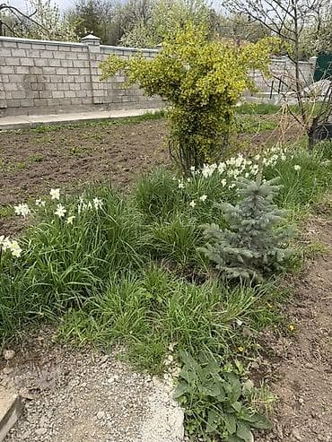 каркасные бассейны б у: 32 м², 2 комнаты — 9