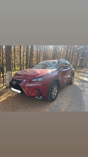 Lexus NX: 2018 г., 2 л, Автомат, Бензин, Кроссовер at lalafo.kg Lexus NX: 2018 г., 2 л, Автомат, Бензин, Кроссовер