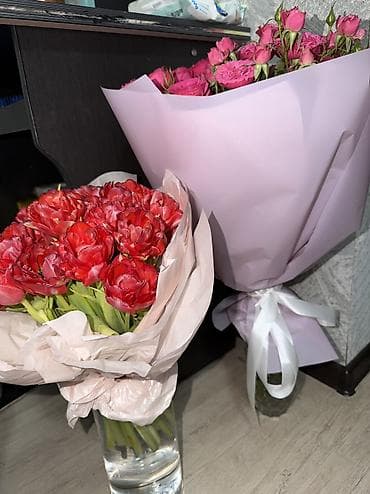 цветок женское счастье цена: Отдам оба за 3к Отправил бывший. Кустовые Тюльпаны Свежие Только — 4