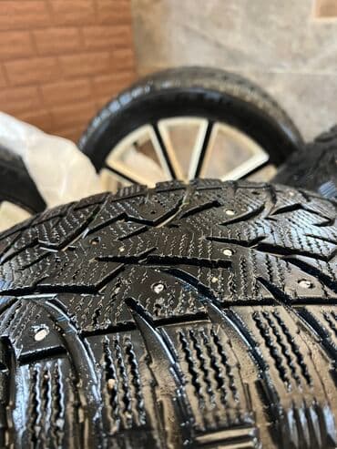 кышкы донголоктор: Дисктер R 18 Колдонулган — 5