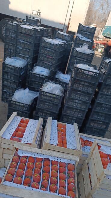 клубника кочоттору: Виноград Оптом, Самовывоз — 4