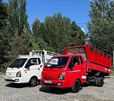 Hyundai Porter — малотоннажные бортовые грузовики с гидроподъёмным