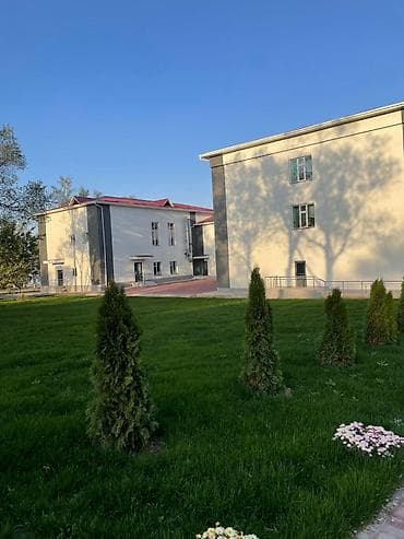 Газон: Газон себебиз, жеткиликтүү жана ыңгайлуу бада ✅ автополив коёбуз🚰 — 5