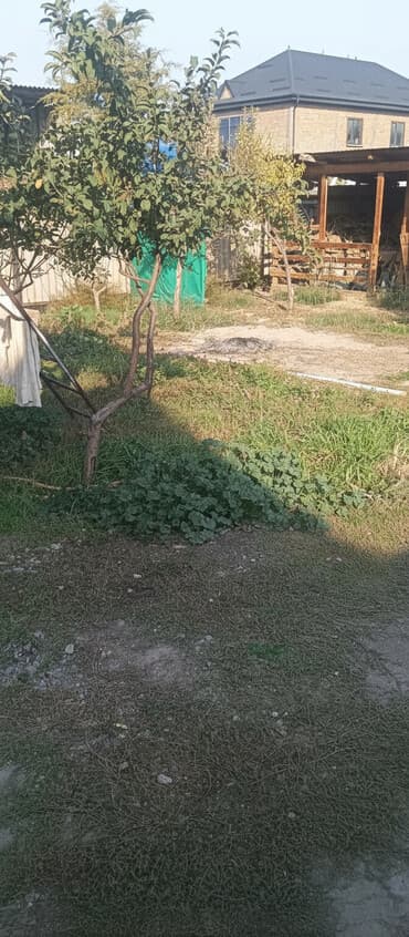 пол дома бишкеке: 6 соток, Для строительства, Красная книга, Тех паспорт, Договор купли-продажи — 2