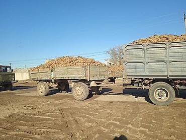 belarus mtz 80: ЗИЛ : | 1984 г — 7