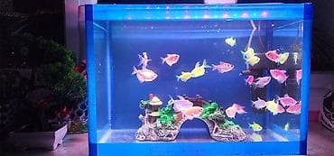 Заказ алабыз комплект с подсветкой — 5