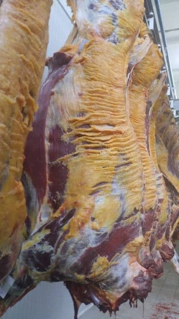 мясо кг цена бишкек: Более 10 кг, Бесплатная доставка, Самовывоз — 1