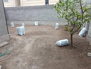 aura roboclean: Уборка территории, Уборка двора и сада — 2