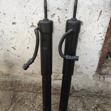 бакту долонотуу: Без выезда — 5