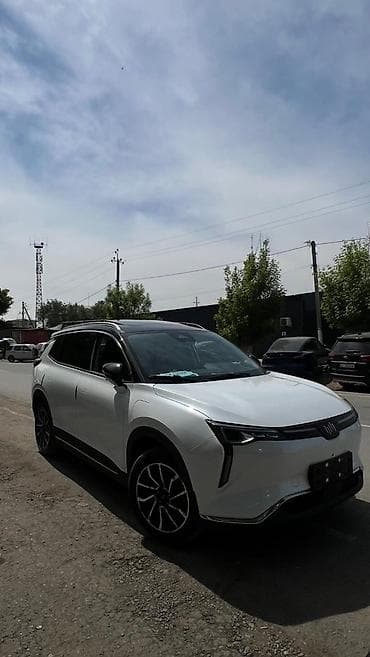 Weltmeister: Weltmeister W6, 2022 г., В наличии — 10