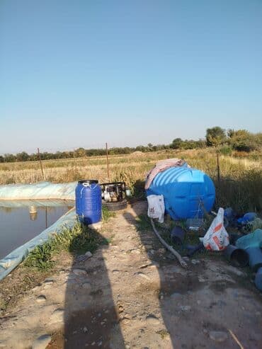 срочно продаю в связи с переездом: 400 соток, Для сельского хозяйства — 4